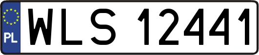 WLS12441