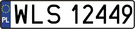 WLS12449