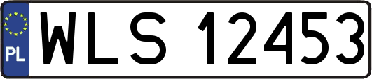 WLS12453