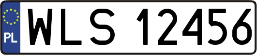 WLS12456
