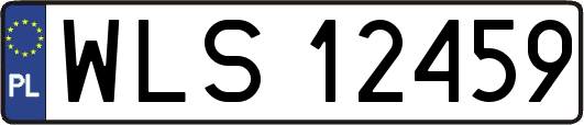 WLS12459
