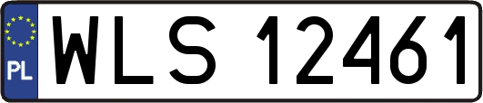 WLS12461