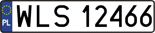 WLS12466