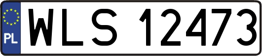 WLS12473