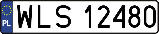 WLS12480