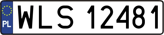 WLS12481