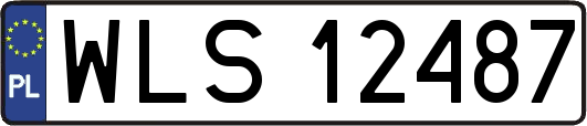 WLS12487