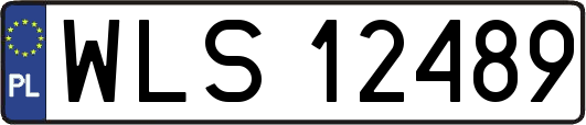 WLS12489