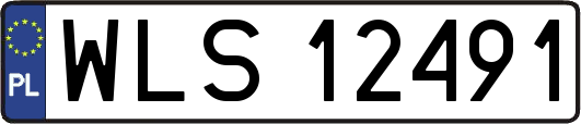 WLS12491