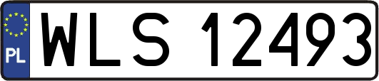 WLS12493