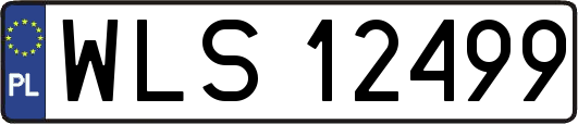 WLS12499