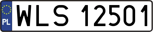 WLS12501