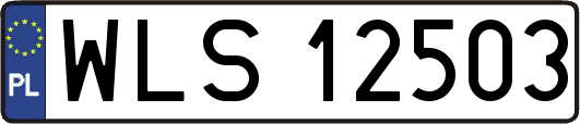WLS12503
