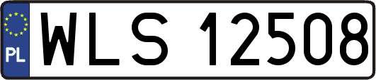 WLS12508