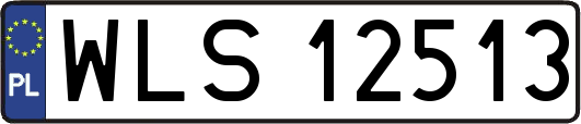 WLS12513