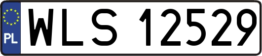 WLS12529