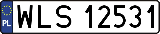 WLS12531