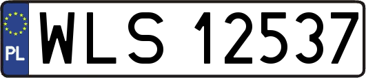 WLS12537