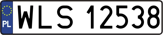 WLS12538