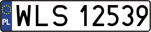 WLS12539