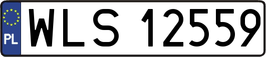 WLS12559