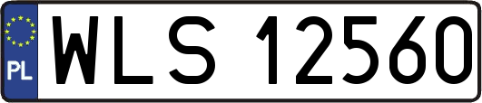 WLS12560