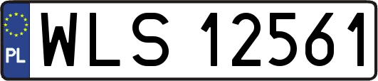 WLS12561