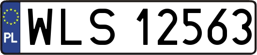 WLS12563