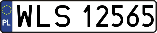 WLS12565