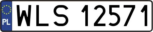 WLS12571