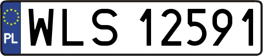 WLS12591