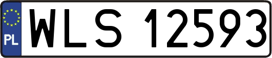 WLS12593