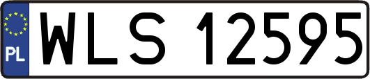 WLS12595