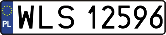 WLS12596