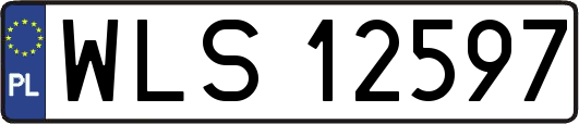 WLS12597