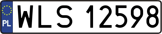 WLS12598