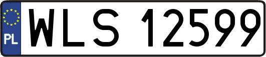 WLS12599