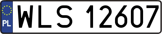WLS12607