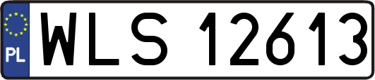 WLS12613