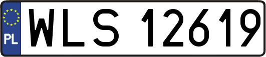 WLS12619