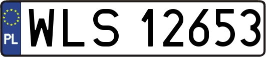 WLS12653