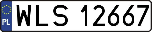 WLS12667