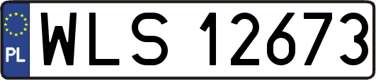 WLS12673