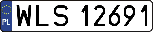 WLS12691