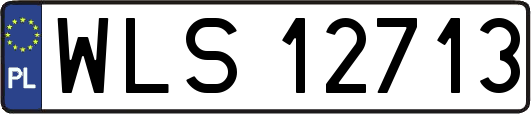WLS12713