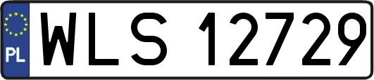 WLS12729
