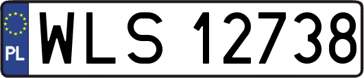 WLS12738