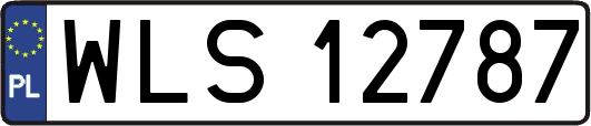 WLS12787