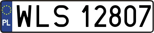 WLS12807