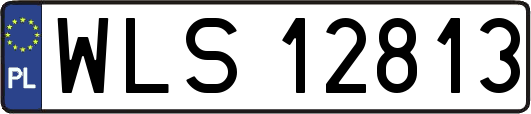 WLS12813